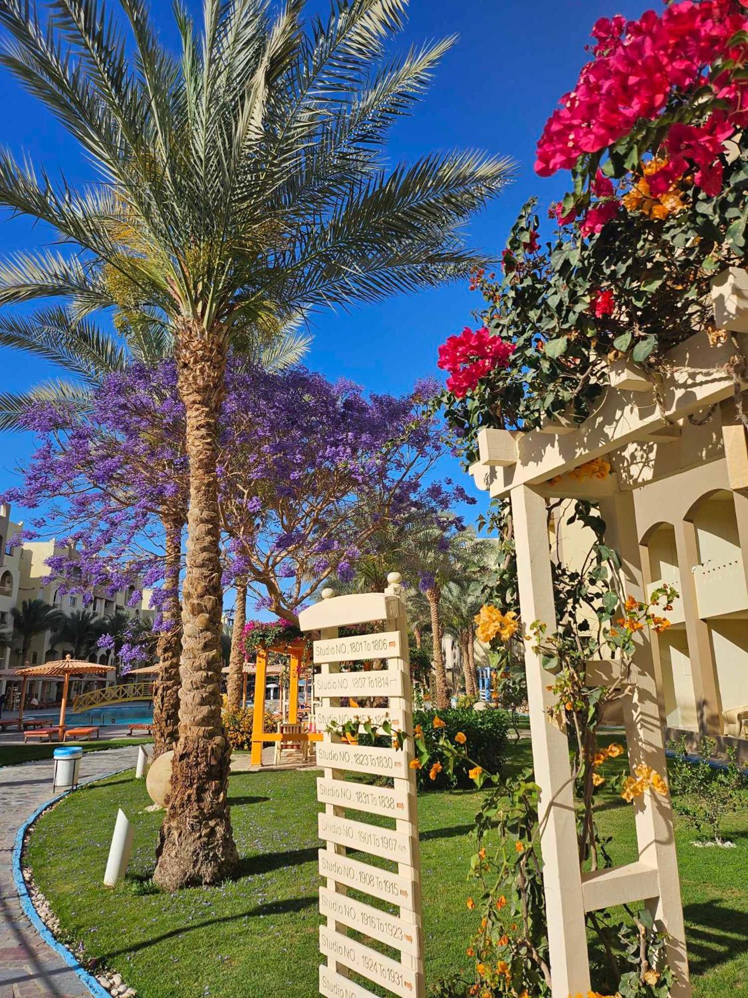 Comfortable Studio In Hotel Karma With Private Beach And Pools Family Only Or Female Hurghada Exterior foto