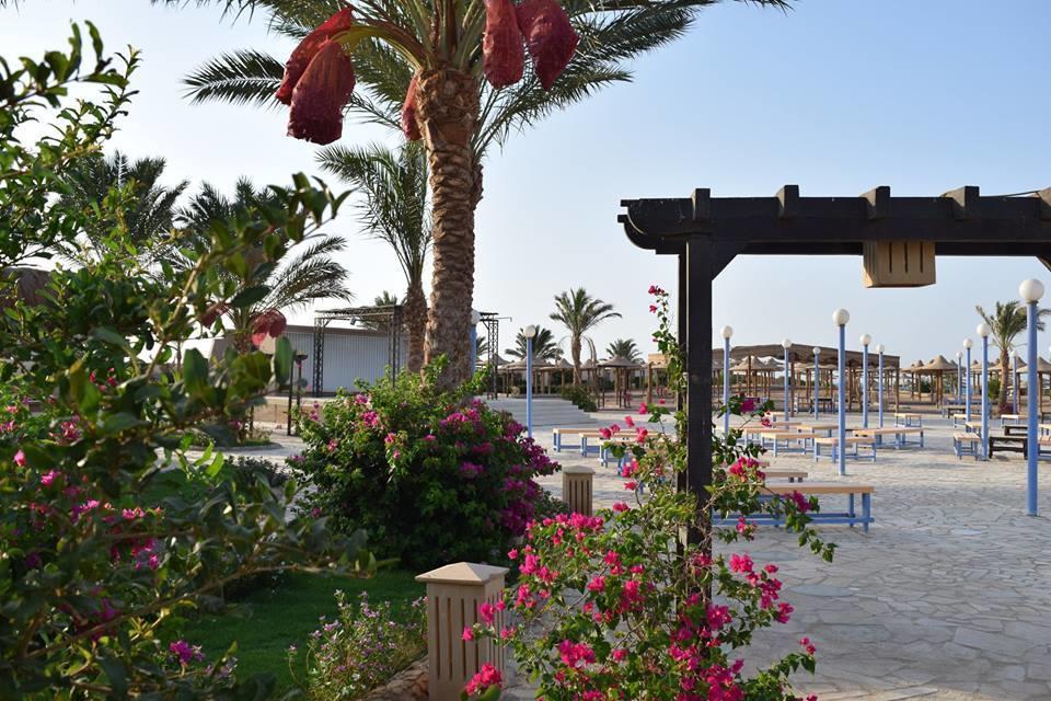Comfortable Studio In Hotel Karma With Private Beach And Pools Family Only Or Female Hurghada Exterior foto