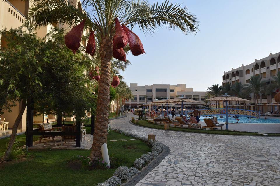Comfortable Studio In Hotel Karma With Private Beach And Pools Family Only Or Female Hurghada Exterior foto